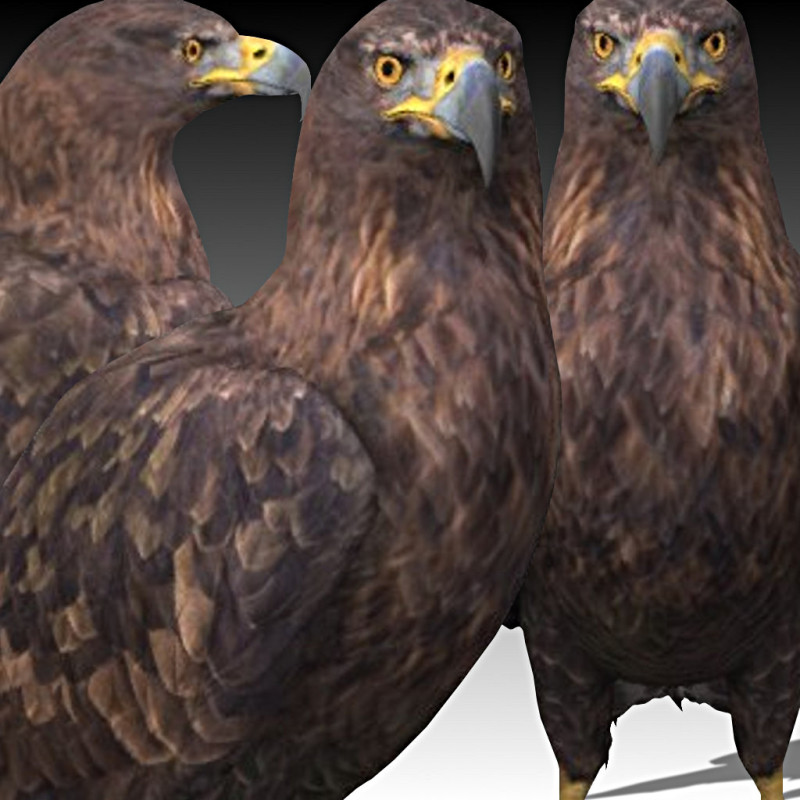 Golden Eagle Modelo 3D .c4d .max .obj .3ds .fbx .stl .blend 