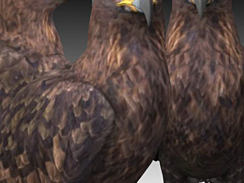 सुनहरा बाज़ 3D मॉडल