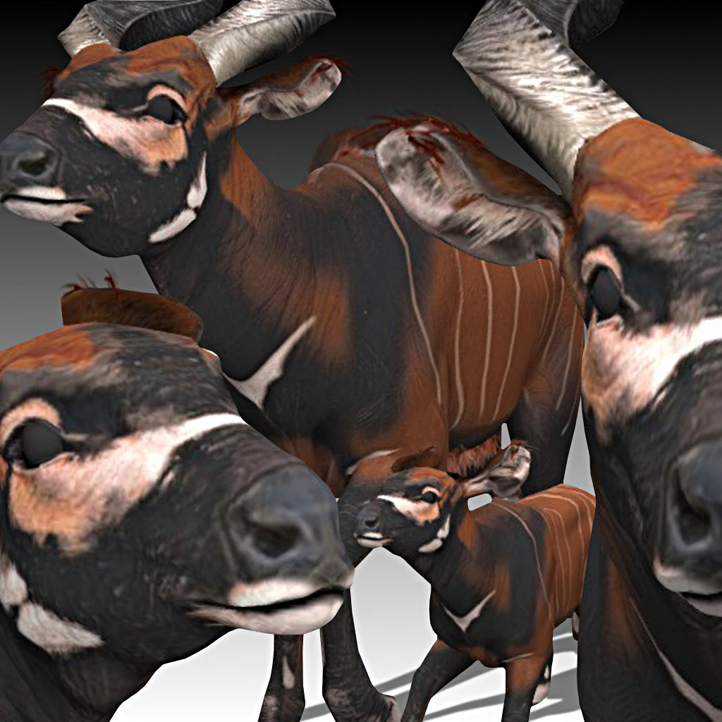 Bongo Antelope 3D Model .c4d .max .obj .3ds .fbx .stl .blend 