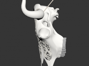 bull skull Modelo 3D