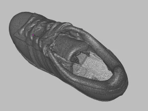 adidas superstar sneaker 3d scan 3D Model
