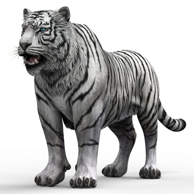 WhiteTiger 3D Модель In Дикая Жизнь 3DExport