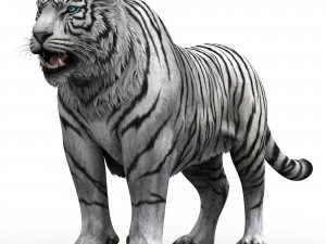 화이트타이거 3D 모델