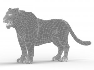 WhiteTiger 3D Model