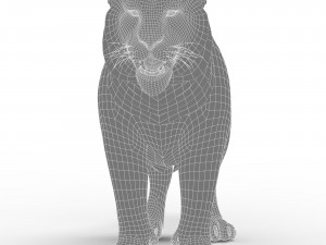 WhiteTiger 3D Model