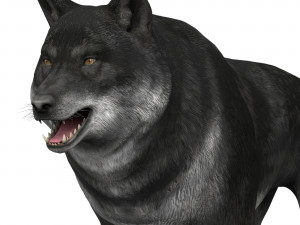 black wolf 3D Model