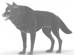 black wolf 3D Model