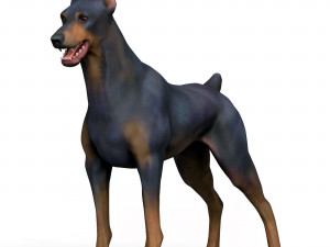 Dobermann Dog With PBR Textures Model 3D