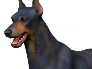 Dobermann Dog With PBR Textures 3D Model