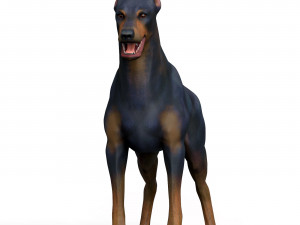 Dobermann Dog With PBR Textures 3D 模型