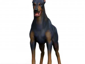 Dobermann Dog With PBR Textures 3D Model