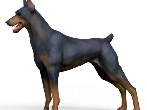 Dobermann Dog With PBR Textures 3D Model