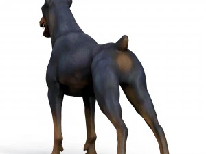 Dobermann Dog With PBR Textures 3D Model
