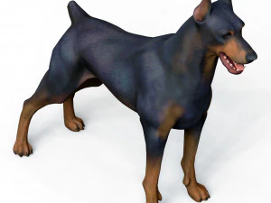 Dobermann Dog With PBR Textures 3D Model