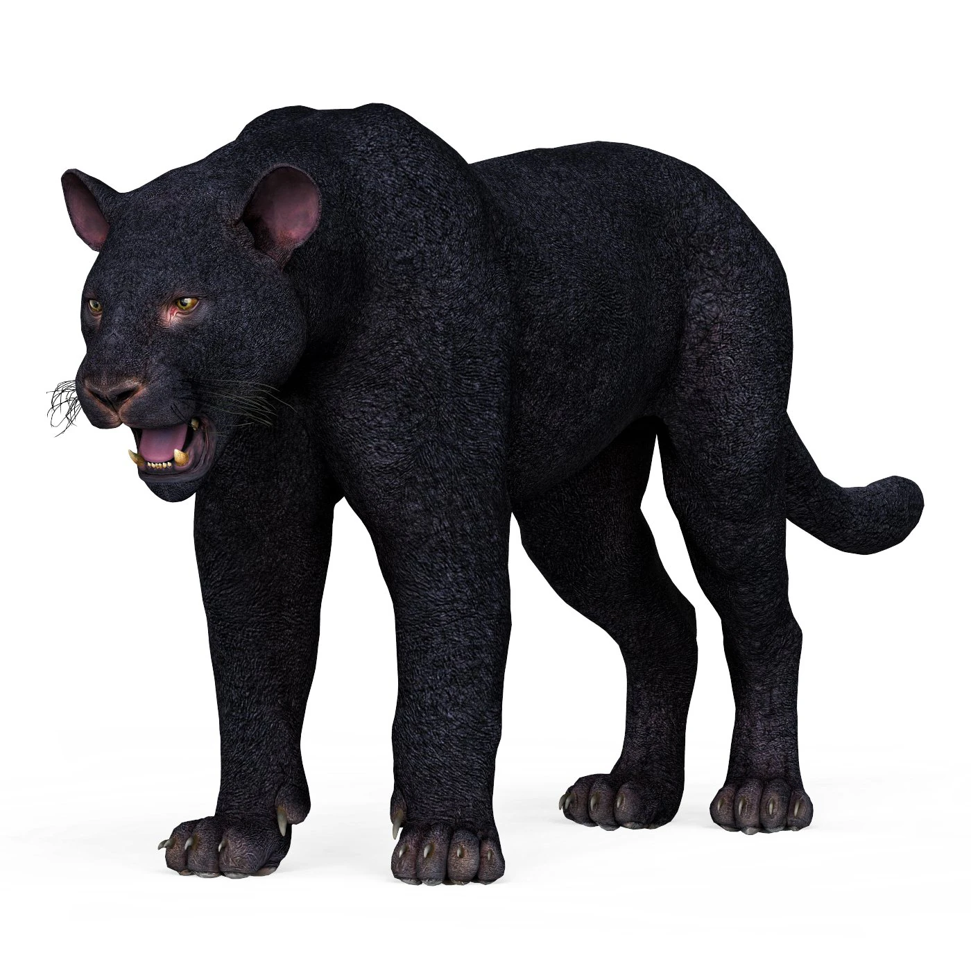 Black Panther 3D Model .c4d .max .obj .3ds .fbx .stl .blend 