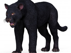 Black Panther 3D Model
