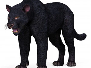 Kara Panter 3D Model