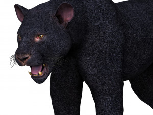Black Panther Modelo 3D