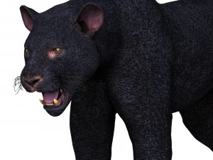 Black Panther 3D Model