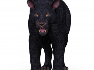 Black Panther Modelo 3D