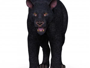 Black Panther 3D Model