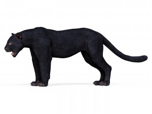 Black Panther Modelo 3D