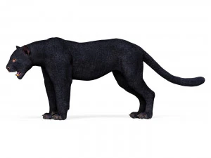 Black Panther 3D Model