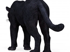Black Panther 3D Model