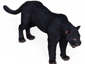 Black Panther Modelo 3D