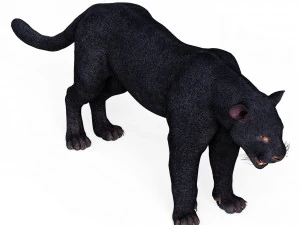 Black Panther 3D Model