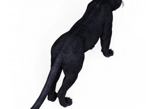 Black Panther Modelo 3D