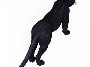 Black Panther 3D Model