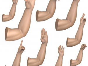 40 Hand Pose Collection 3D Model
