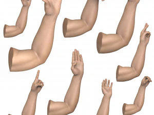 Collezione di 40 pose delle mani Modello 3D