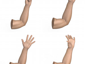 40 Hand Pose Collection 3D Model