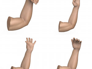 40 Hand Pose Collection 3D Model