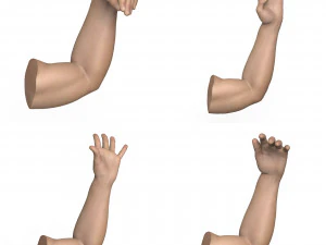 40 Hand Pose Collection 3D Model