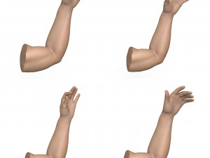 40 Hand Pose Collection 3D Model