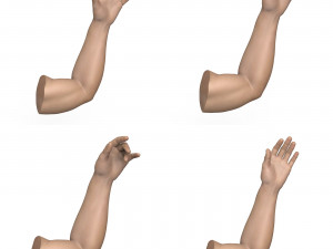 40 Hand Pose Collection 3D Model