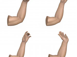 40 Hand Pose Collection 3D Model