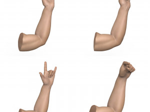 40 Hand Pose Collection 3D Model