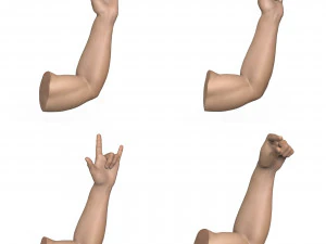 40 Hand Pose Collection 3D Model