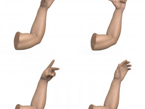 40 Hand Pose Collection 3D Model