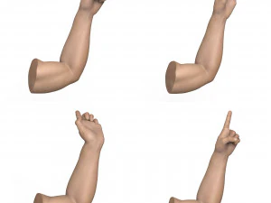 40 Hand Pose Collection 3D Model