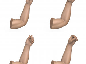 40 Hand Pose Collection 3D Model