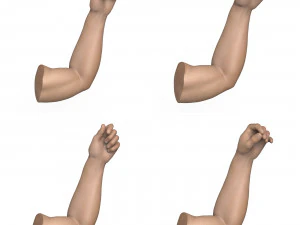 40 Hand Pose Collection 3D Model