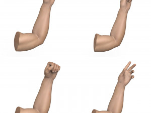 40 Hand Pose Collection 3D Model