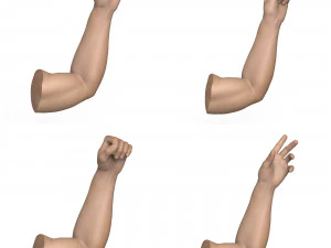 40 Hand Pose Collection 3D Model