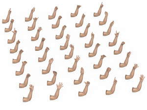 40 Hand Pose Collection 3D Model
