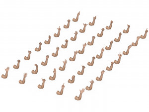 40 Hand Pose Collection 3D Model